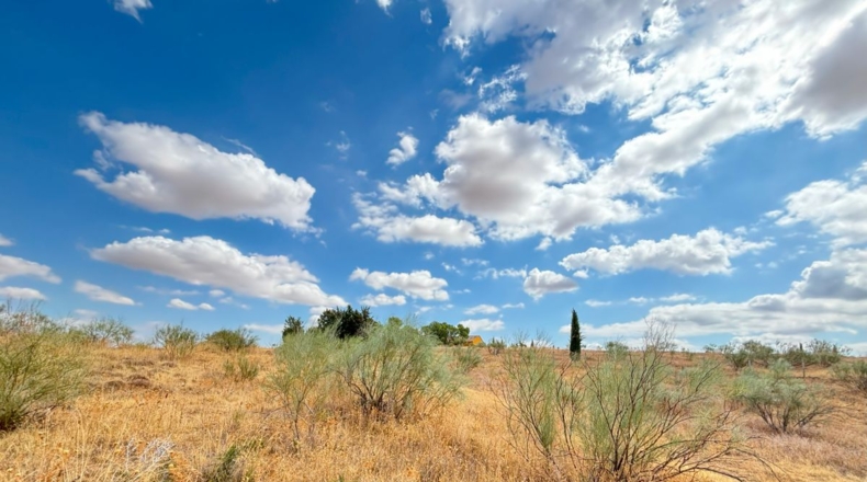 Toledo - Toledo - 5000m2