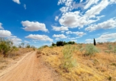 Non-developable land for sale in Toledo ref: TR110582 photo