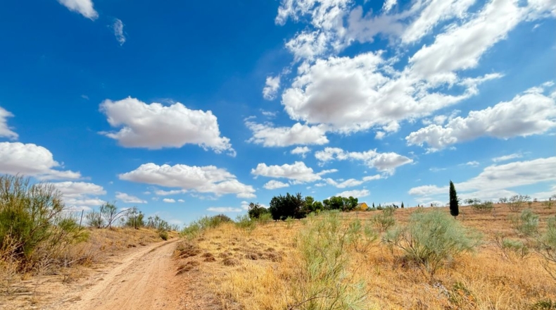 Toledo - Toledo - 5000m2