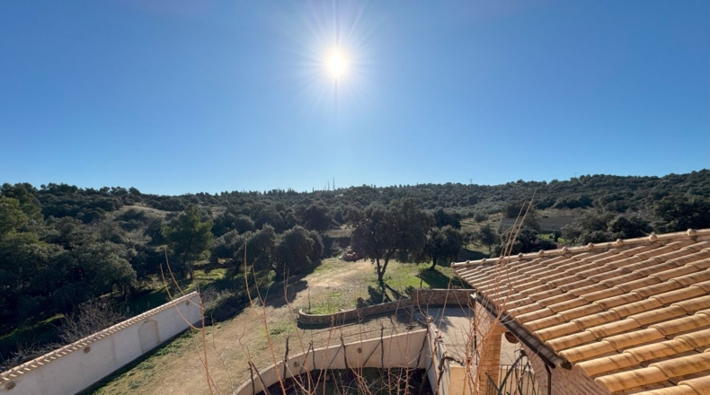 Toledo - Toledo - 3400m2