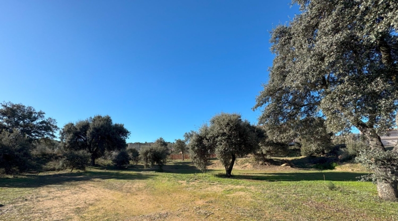 Toledo - Toledo - 3400m2
