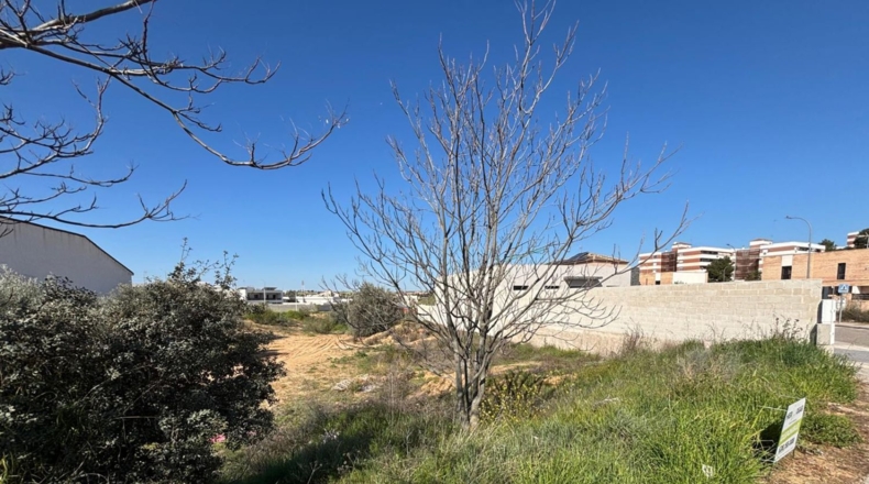 Toledo - La Puebla de Montalbán - 755m2