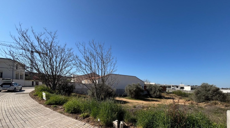 Toledo - La Puebla de Montalbán - 755m2