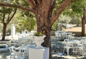 Finca rústica en venta en la España, Navahermosa, ref: TR12743 foto