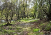 Finca rústica en venta en la España, Navahermosa, ref: TR12743 foto