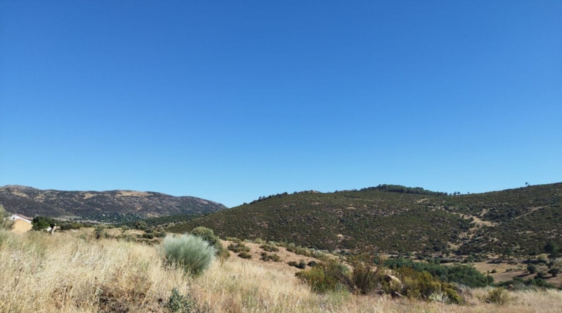 Community of Madrid - Urbanización Río Cofio - 750m2
