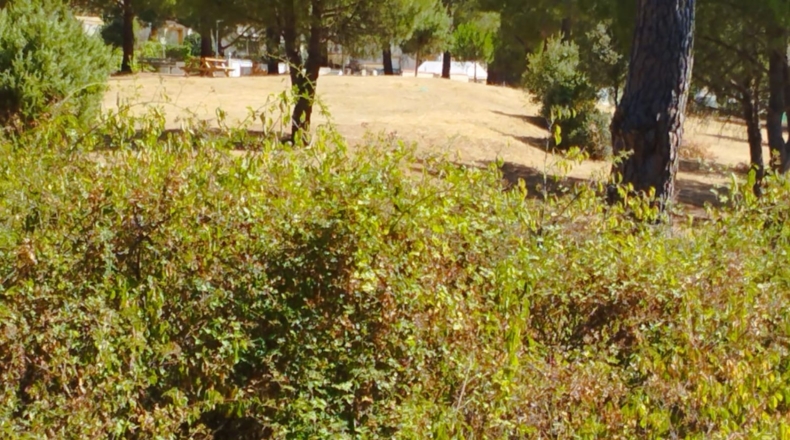 Comunidad de Madrid - Valdemaqueda - 1591m2