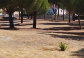 Terreny no urbanitzable en venda a la España, Valdemaqueda, ref.: TR338122 foto