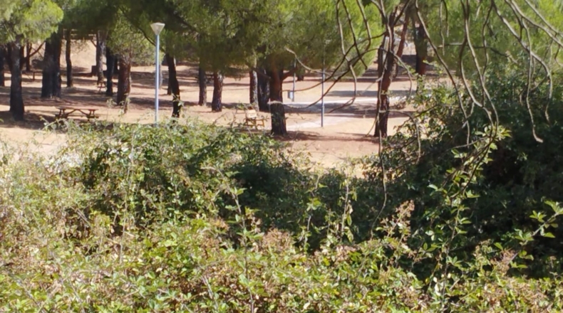 Comunidad de Madrid - Valdemaqueda - 1591m2