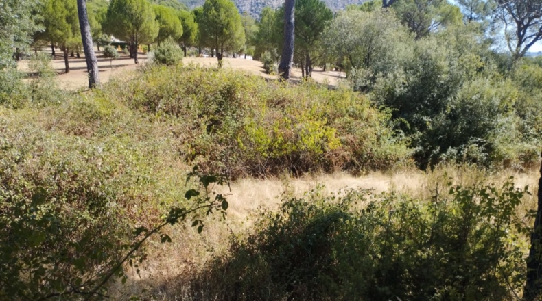 Comunidad de Madrid - Valdemaqueda - 1591m2