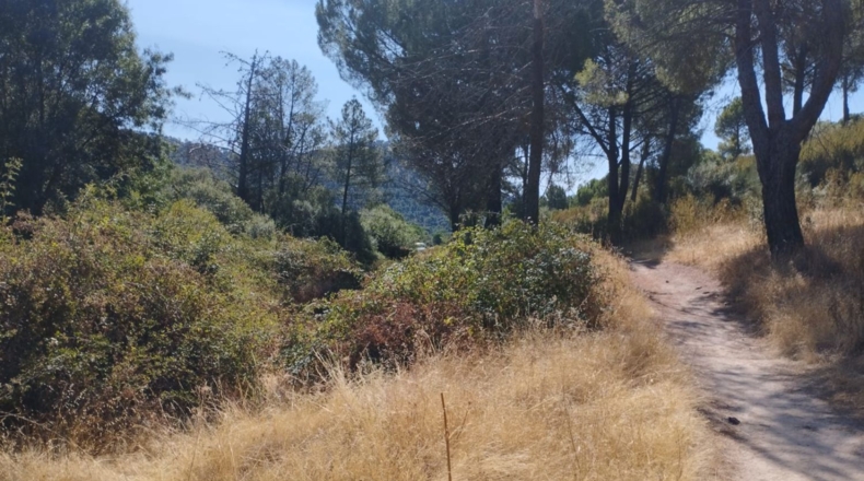 Comunidad de Madrid - Valdemaqueda - 1591m2