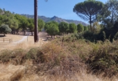 Terreny no urbanitzable en venda a la España, Valdemaqueda, ref.: TR338122 foto