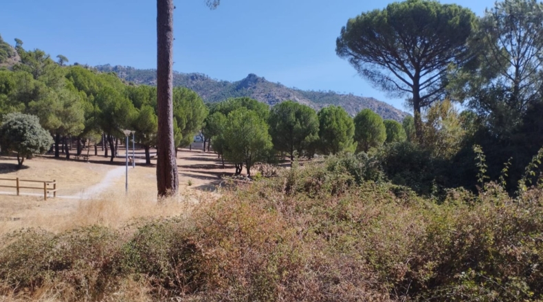 Comunidad de Madrid - Valdemaqueda - 1591m2