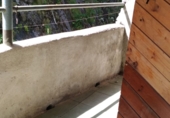Rural estate for sale in Asnurri ref: TR350247 photo