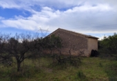 Rural estate for sale in Castelló de la Plana ref: TR182974 photo