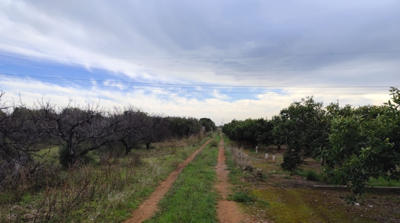 Castellón - Castellón de la Plana - 33969m2