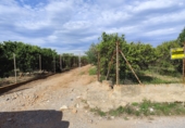 Rural estate for sale in Castelló de la Plana ref: TR182974 photo