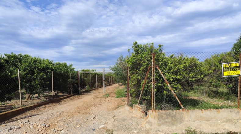 Castellón - Castellón de la Plana - 33969m2