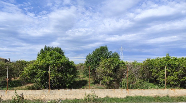 Castellón - Castellón de la Plana - 33969m2