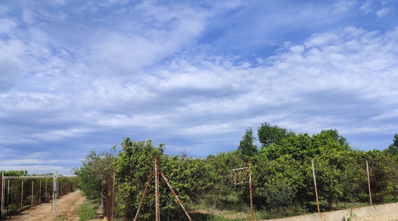 Castellón - Castellón de la Plana - 33969m2