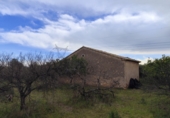 Rural estate for sale in Castelló de la Plana ref: TR182974 photo