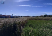 Non-developable land for sale on España, Castelló de la Plana, ref: TR352522 photo