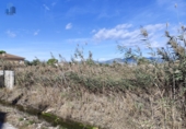 Non-developable land for sale on España, Castelló de la Plana, ref: TR352522 photo
