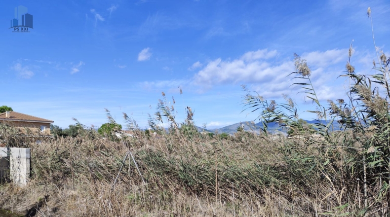 Castellón - Castelló de la Plana - 4970m2