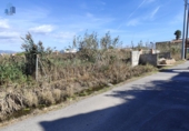 Non-developable land for sale on España, Castelló de la Plana, ref: TR352522 photo