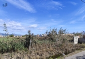 Non-developable land for sale on España, Castelló de la Plana, ref: TR352522 photo