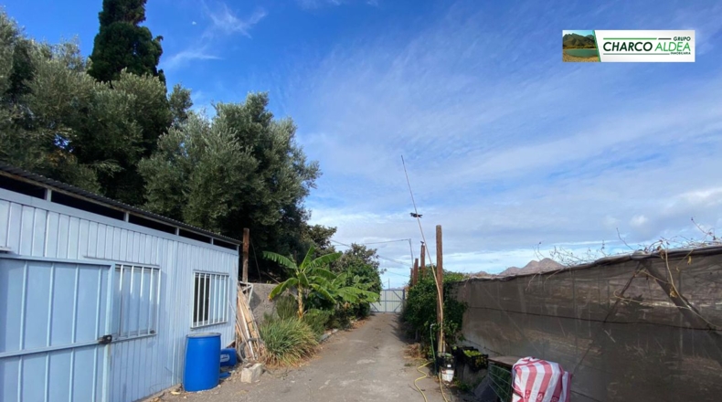 Las Palmas - Molino de Viento - 4079m2