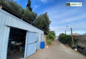 Finca rústica en venda a La Aldea de San Nicolás ref.: TR93178 foto