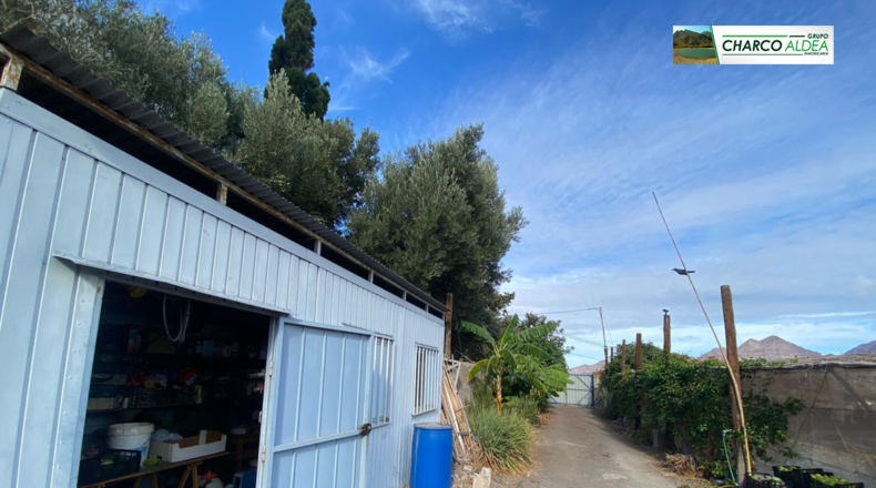 Las Palmas - Molino de Viento - 4079m2