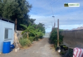 Finca rústica en venda a La Aldea de San Nicolás ref.: TR93178 foto
