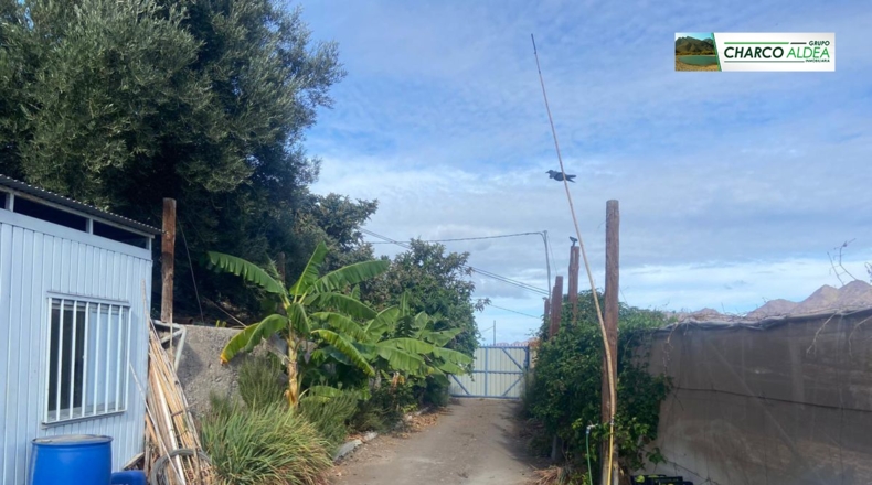 Las Palmas - Molino de Viento - 4079m2