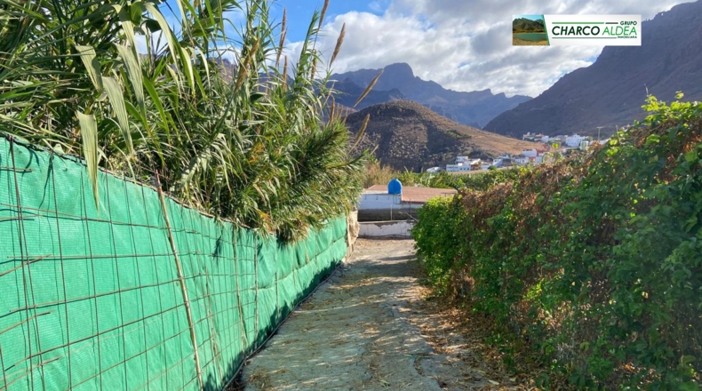 Las Palmas - La Aldea de San Nicolás - 1834m2