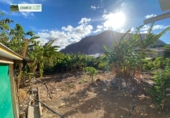 Rural estate for sale in La Aldea de San Nicolás ref: TR12732 photo