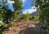 Rural estate for sale in La Aldea de San Nicolás ref: TR12732 photo