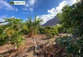 Rural estate for sale in La Aldea de San Nicolás ref: TR12732 photo