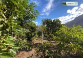 Rural estate for sale in La Aldea de San Nicolás ref: TR12732 photo