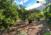 Rural estate for sale in La Aldea de San Nicolás ref: TR12732 photo
