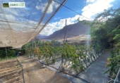 Rural estate for sale in La Aldea de San Nicolás ref: TR12732 photo