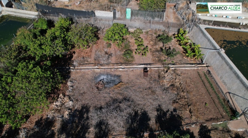 Las Palmas - La Aldea de San Nicolás - 2813m2