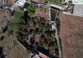Finca rústica en venda a La Aldea de San Nicolás ref.: TR12731 foto