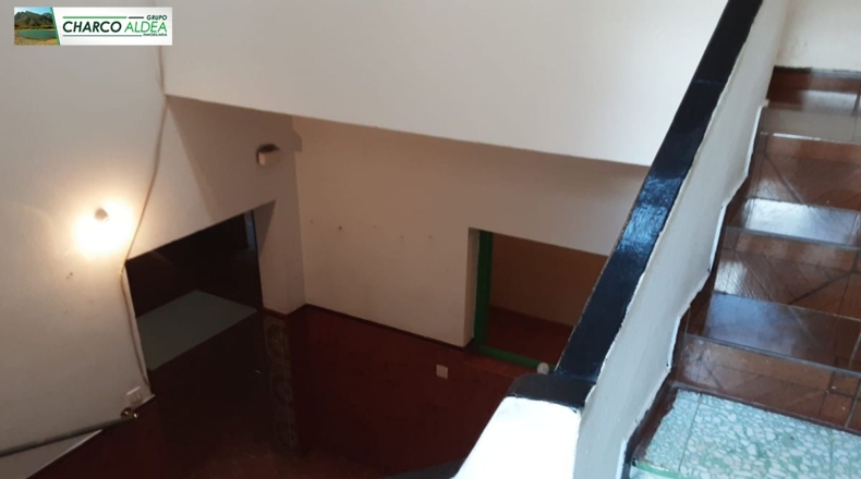 Las Palmas - Molino de Viento - 295m2