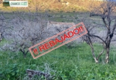 Terreny no urbanitzable en venda a La Aldea de San Nicolás ref.: TR52917 foto