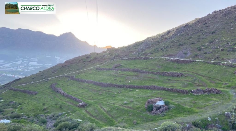 Las Palmas - Molino de Viento - 91806m2