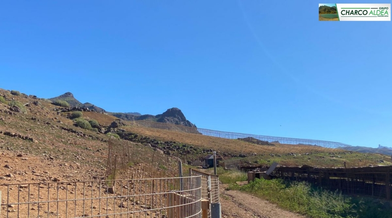 Las Palmas - Las Marciegas - 16000m2
