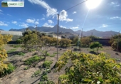 Rural estate for sale in La Aldea de San Nicolás ref: TR12729 photo
