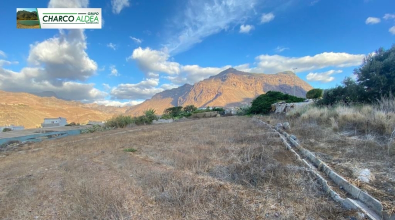 Las Palmas - Molino de Viento - 1200m2
